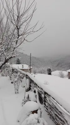 a snow covered yard with a fence and a tree at Semana Guesthouse in Vrata