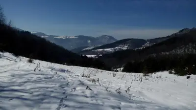 a snow covered slope with trees and mountains at Semana Guesthouse in Vrata