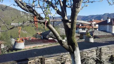 a tree with two bells hanging from a fence at Semana Guesthouse in Vrata