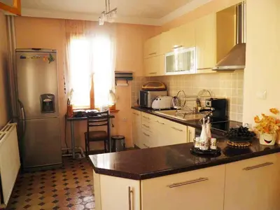 a kitchen with a refrigerator and a counter top at Guest House Detelina in Devin