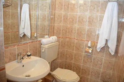 a bathroom with a toilet and a sink at Trenchova Guest House in Bansko
