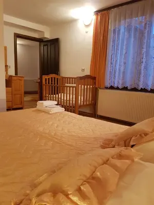 a bedroom with a large bed and a crib at Trenchova Guest House in Bansko