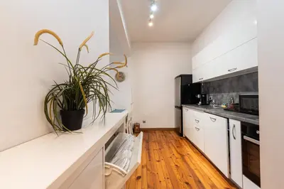 a kitchen with white cabinets and a plant on the counter at Rentapart Step in Sofia