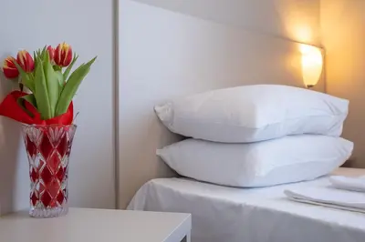 a vase of red flowers sitting on a table with pillows at Blue Label Apart House in Sofia