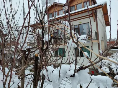 a house covered in snow next to a tree at Guest House Garbevi in Dobrinishte