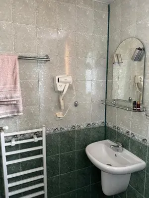 a green bathroom with a sink and a mirror at Mama Emiliya Guest House in Beli Iskar