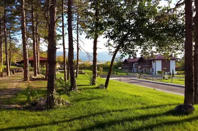 a field of grass with trees in front of a house at Esterra Vini Guest House in Perushtitsa