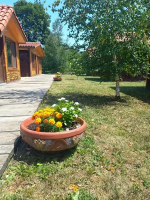a large pot of flowers in a yard at Вилно селище МИРОВЕЦ in Malŭk Izvor