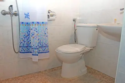 a bathroom with a toilet and a sink and a shower at Hotel Trakia in Pazardzhik