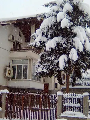 a snow covered tree in front of a house with a fence at Bonbon Guest House in Panagyurishte
