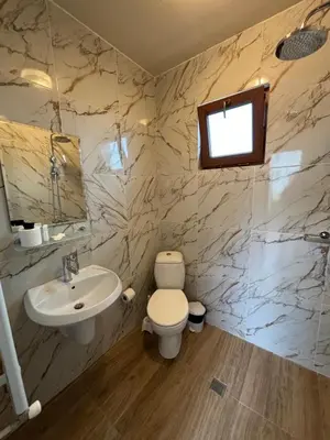 a bathroom with a white toilet and a sink at Вила Флора Паталеница in Patalenitsa