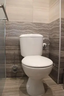 a white toilet in a bathroom with a shower at Rupchini Houses in Bansko