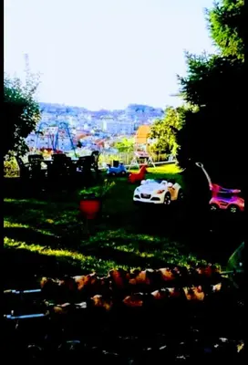 a group of toy cars parked in the grass at Guest House Sofia in Sandanski
