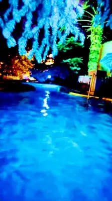 a view of a pool of water at night at Guest House Sofia in Sandanski