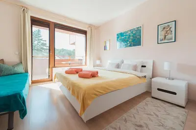 a bedroom with a large bed and a window at Veli Hills Apartments in Velingrad