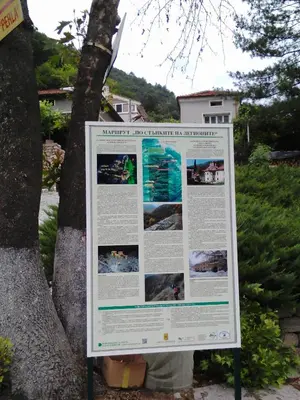 a sign is posted in front of a tree at Vila Bachkovo in Bachkovo