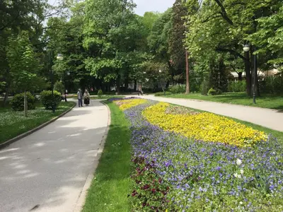 a walkway in a park with purple and yellow flowers at CityCentre Gem with Free Parking in Plovdiv
