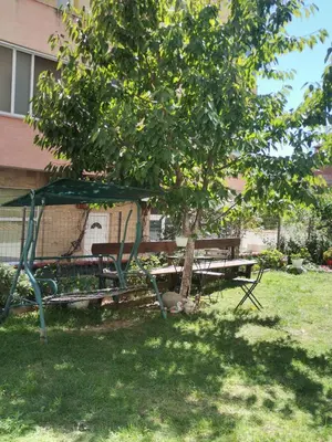 a picnic table and a bench under a tree at Vila Nova in Sandanski
