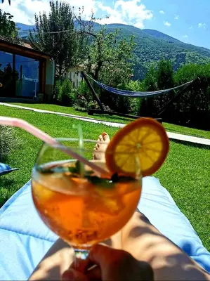 a person holding a drink with an orange slice at Guest House Vasilena Самостоятелно наемане FREE PARKING in Sapareva Banya