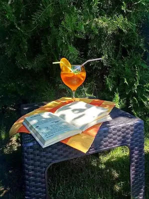 a drink and a book on a picnic table with a drink at Guest House Vasilena Самостоятелно наемане FREE PARKING in Sapareva Banya