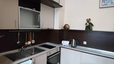 a kitchen with a sink and a stove at TES Flora Apartments in Borovets