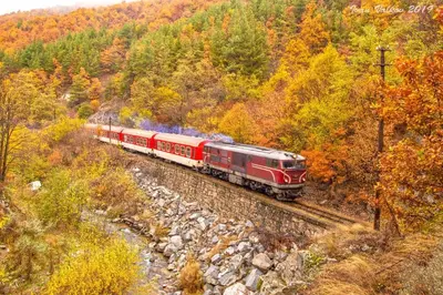 a red train traveling down the tracks through a forest at MIDAS - Borov Park in Velingrad