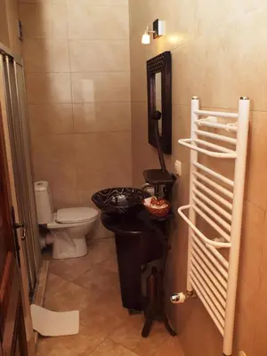 a small bathroom with a toilet and a sink at Momini Dvori Boutique Guest House in Bansko