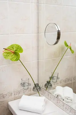 a bathroom with a mirror and a sink at Park Hotel Sankt Peterburg in Plovdiv