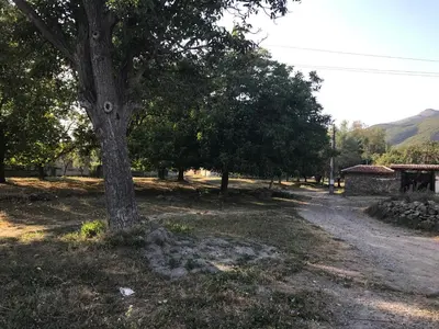 a tree in the middle of a dirt road at Guesthouse Planinsko Gnezdo in Tŭzha