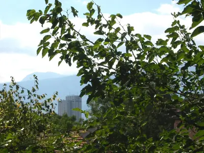 a view of a city through the leaves of a tree at Architectural City Loft in Sofia