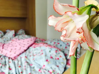 a pink flower in front of a bed at Design Apartment in Park in Sofia