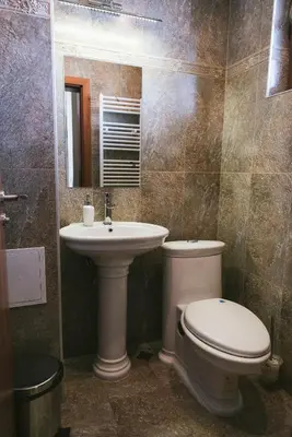 a bathroom with a toilet and a sink at Villa Maria, Complex Aleksandria in Dobrinishte