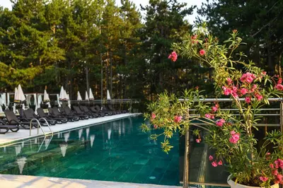 a swimming pool with lounge chairs and pink flowers at SPA Hotel Infinity Park Velingrad in Velingrad