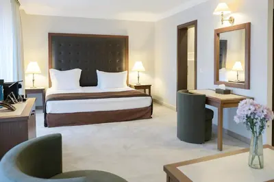 a hotel room with a bed and a desk at Maxi Park Hotel & Spa in Velingrad