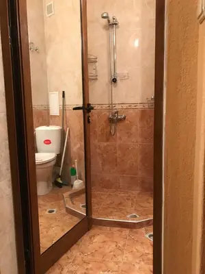 a bathroom with a shower and a toilet at Apartment Elena in Sandanski