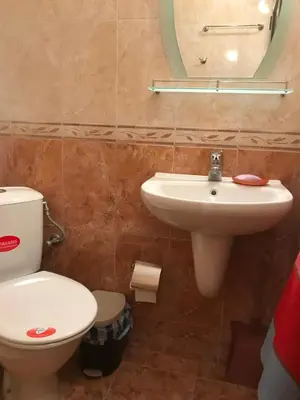 a bathroom with a toilet and a sink at Apartment Elena in Sandanski