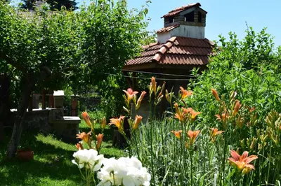 a garden with flowers in front of a house at Villa Kabasanov in Smolyan