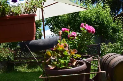 a garden with a potted plant and an umbrella at Villa Kabasanov in Smolyan