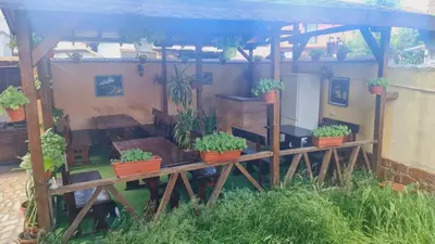 a group of potted plants on a wooden table at Guest House PIP in Velingrad