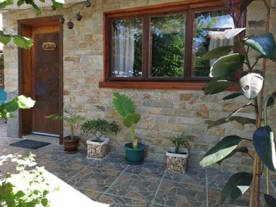 a patio with potted plants in front of a house at Guest House Milka in Yagodina