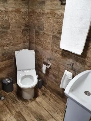 a bathroom with a toilet and a sink at Kashtata s Paraklisa in Borowo