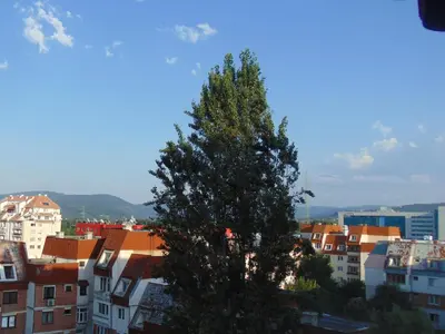 a tree in the middle of a city with buildings at Business Park Apartment in Sofia