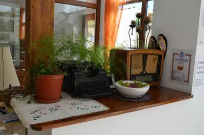 a table with plants and an old typewriter on it at EldoSport Hotel in Dospat