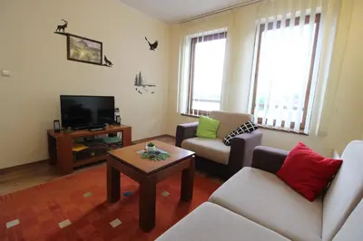 a living room with a couch and a tv at Pine Tree Apartment D34 in Bansko