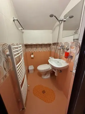 a small bathroom with a toilet and a sink at Yovkovata Kyshta in Chiflik