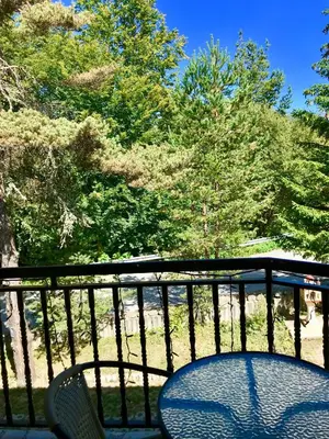 a table and chair on a balcony with trees at Daf Trans Hotel in Peshtera
