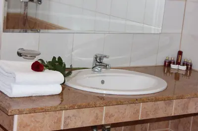 a bathroom sink with a red rose on top of it at Kendros Hotel in Plovdiv