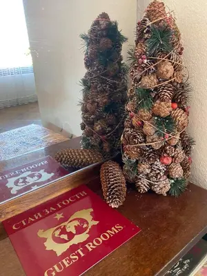 a group of pineapples on a table next to a book at Art Studio in Sapareva Banya