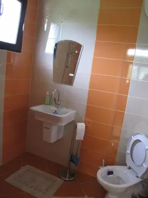 a bathroom with a sink and a toilet at Guest House Vergie, Fully Private in Sapareva Banya
