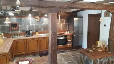 a large kitchen with wooden cabinets and a refrigerator at Pisanata House in Dedovo